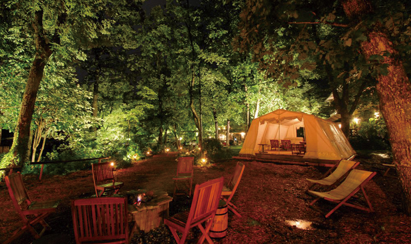 The Forest Glamping & Grill